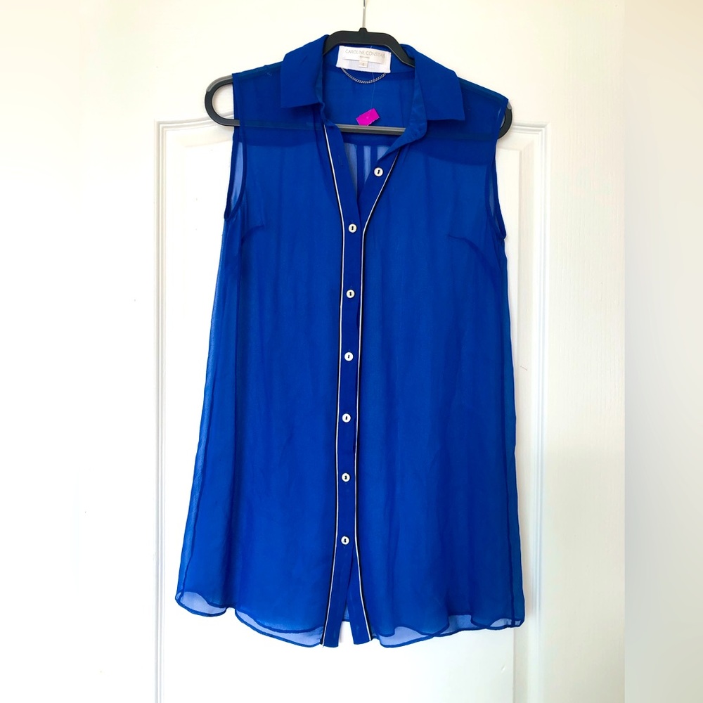 Caroline Constas Sleeveless Blue Transparent Blouse